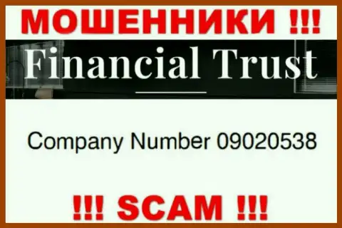 Номер регистрации еще одних мошенников всемирной сети internet организации Financial-Trust Ru: 09020538