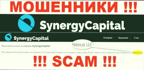 Юридическое лицо, владеющее интернет-мошенниками Synergy Capital это Нексус ЛЛК