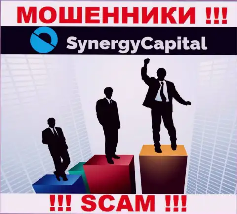 Synergy Capital предпочли анонимность, информации о их руководстве Вы найти не сможете