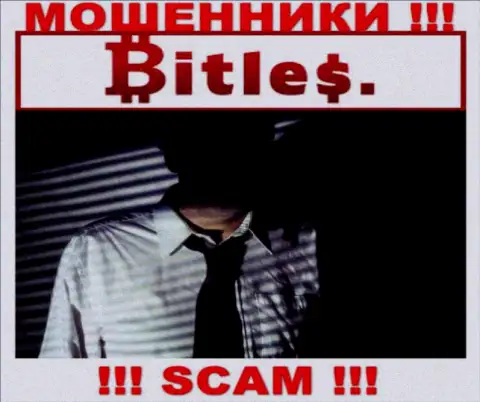 Компания Bitles прячет своих руководителей - МОШЕННИКИ !!!