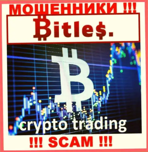 Слишком опасно верить Bitles Limited, оказывающим услугу в сфере Криптоторговля