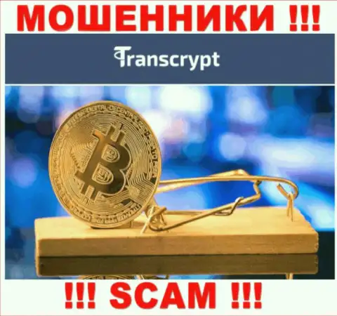 Не попадите в грязные руки internet шулеров TransCrypt Eu, не вводите дополнительные финансовые активы