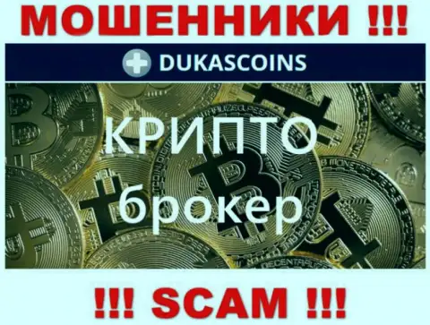 Вид деятельности воров DukasCoin Com - это Crypto trading, однако имейте ввиду это обман !!!