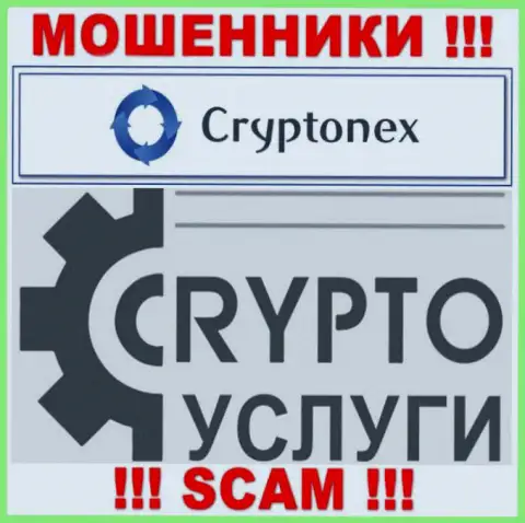 Имея дело с CryptoNex, область деятельности которых Крипто услуги, можете остаться без своих вложенных денежных средств