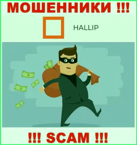 Работая совместно с компанией Hallip Вы не увидите ни рубля - не отправляйте дополнительно денежные активы