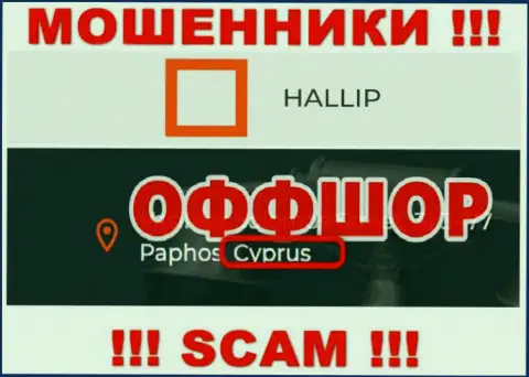 Лохотрон Hallip Com имеет регистрацию на территории - Кипр