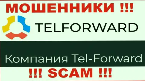 Юридическое лицо TelForward Net - это Тел-Форвард, такую информацию предоставили махинаторы у себя на информационном портале