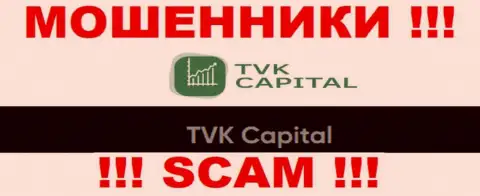 TVK Capital - это юр лицо internet-воров TVK Capital