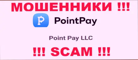 На сайте ПоинтПэй написано, что Point Pay LLC - это их юридическое лицо, но это не значит, что они приличны