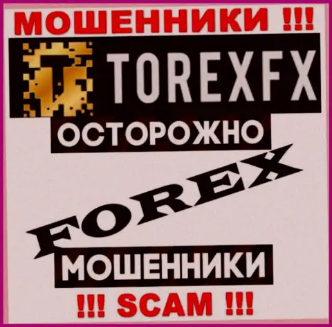 Тип деятельности Torex FX: Форекс - хороший доход для махинаторов